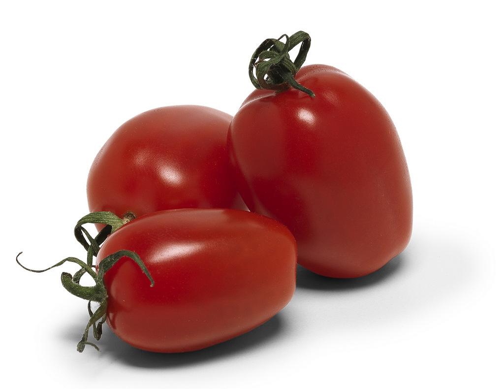 Tomates raisin Savoura 