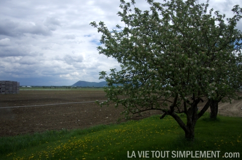Potager Mont-Rouge - Montérégie